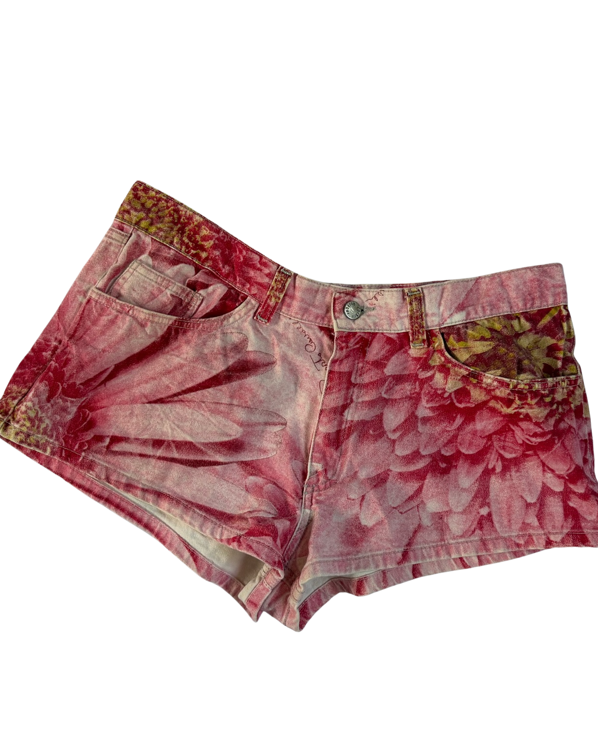 Roberto Cavalli Floral Photo-Print Denim Shorts